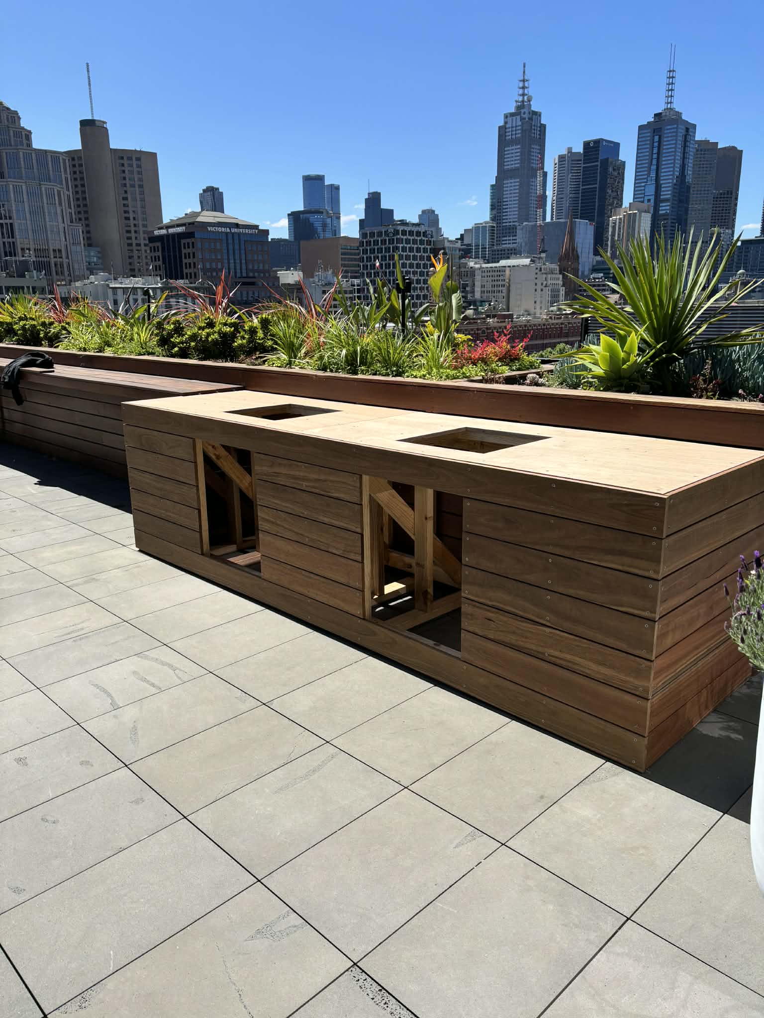 Spotted Gum